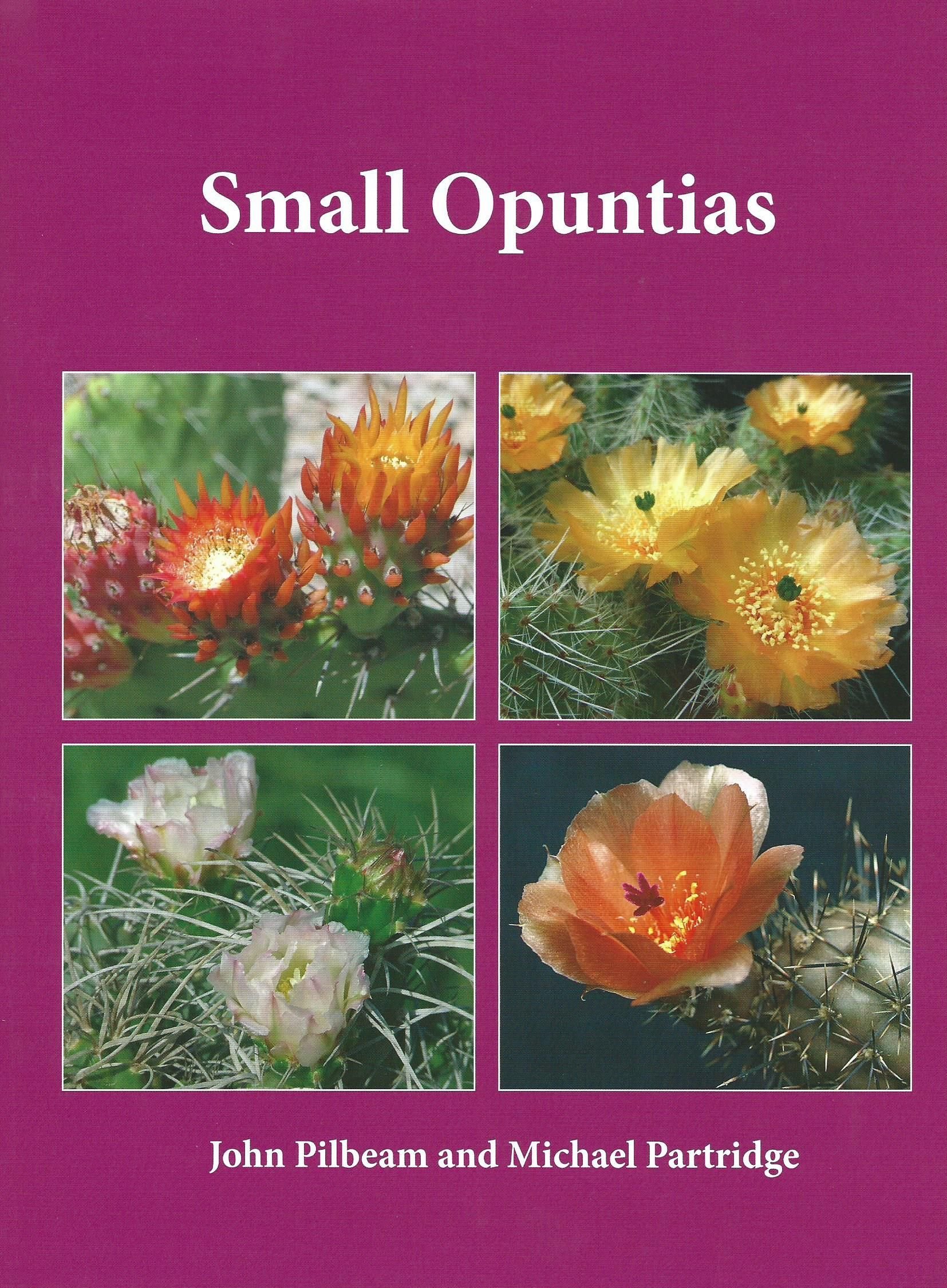 Smallopuntias Smallopuntias