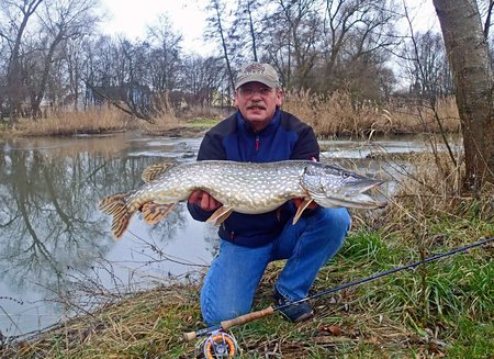 Die Abens war noch leicht braun vom Hochwasser darum fischte ich einen großen schwarzen Streamer der sofort von einem 94 cm Hecht genommen wurde. 12. Januar 18\\n\\n13.01.2018 21:24