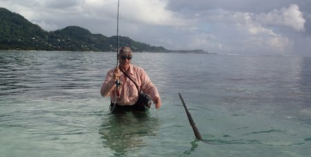 Trompetenfisch im Drill, Mahe Seychellen\\n\\n01.08.2016 16:49