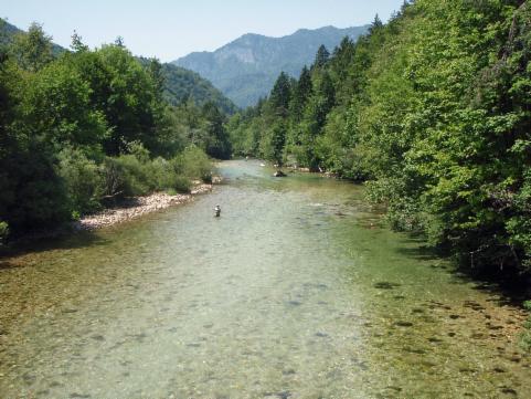 Sava Bohinjka