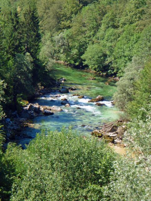 Sava Bohinjka ein Traum