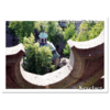 Postkarte, 375 Jahre Wallfahrt Kevelaer Gnadenkapelle mit Rosette