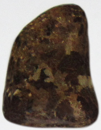 Bronzit TS 1 ca. 2,2 cm breit x 3,6 cm hoch x 0,8 cm dick (12,6 gr.)