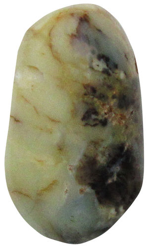 Opal Dendriten gebohrt TS 2 ca. 1,8 cm breit x 3,0 cm hoch x 1,2 cm dick (6,6 gr.)