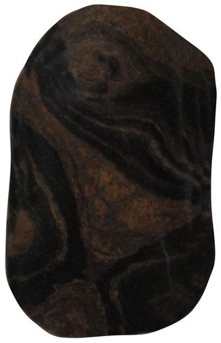 Stromatolith TS 1 ca. 1,8 cm breit x 2,8 cm hoch x 1,0 cm dick (7,3 gr.)