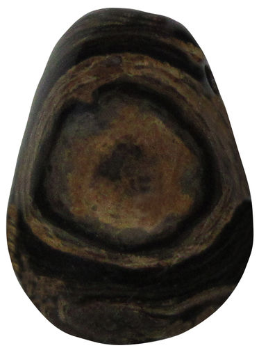Stromatolith gebohrt TS 3 ca. 2,0 cm breit x 2,8 cm hoch x 1,6 cm dick (12,3 gr.)