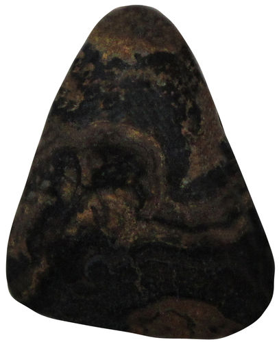 Stromatolith gebohrt TS 4 ca. 2,7 cm breit x 3,5 cm hoch x 1,2 cm dick (16,9 gr.)