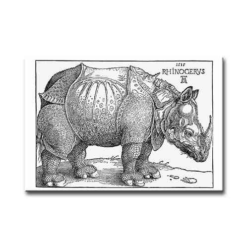 Magnet "Rhinozeros"