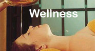 wellness_klein