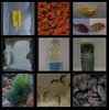 ultimate critter pack option 1 refugium and tank critter booster pack