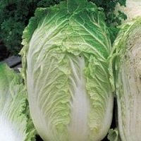 Chinese Cabbage & Broccoli
