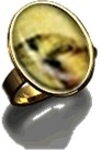 Ring oval  (Schlange)
