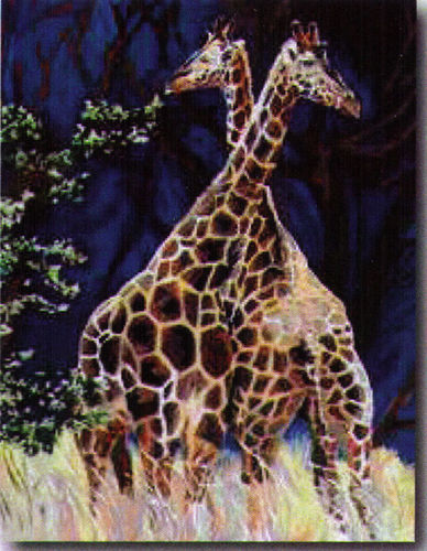 Girafes au grand cœur (d'après Guy Marchi)