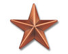 Pin "Star" Copper