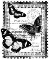 Cling - Papillon Postcard