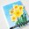 Clear Stamp & Die Set Build-A-Flower - Daffodil