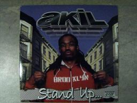 AKIL "STAND UP" B/W "HEY LUV" (USED 12INCH)