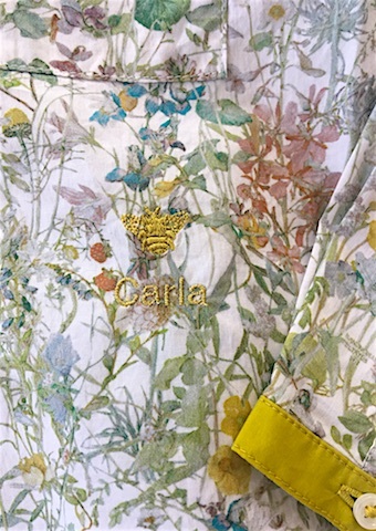 Bee_Indiv_Carla_480x340