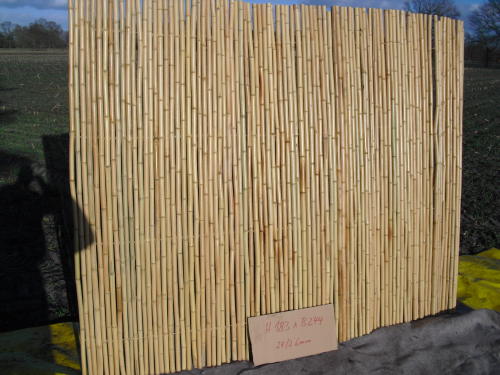 Bambuszaun 24/26mm 244cmx244cm gelb