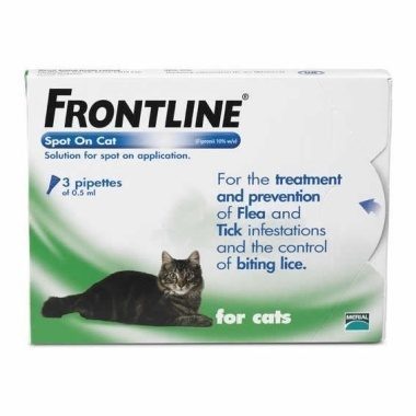 Cat frontline