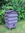 Wooden Beehive Wormery