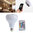Bluetooth Flashing Light Bulb Speaker
