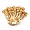 棕色蟹味菇（姬菇）*150g  brown shimeji mushroom