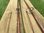 Edward Barder MK 4 Matched Pair, AVON and CARP - UNUSED
