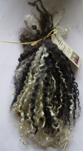 Teeswater Locks in Evening Grey for Doll making 1 oz