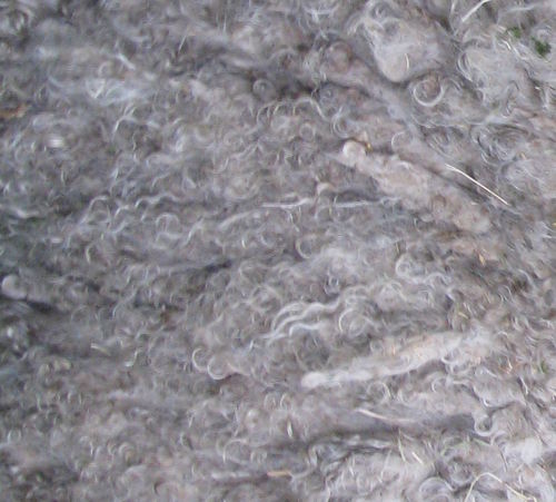 Ethical Mohair Fleece Raw Unwashed 200g
