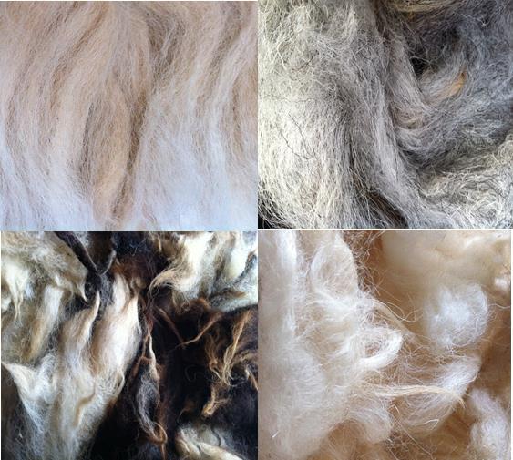 washed_wool_collection