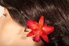Cattleya Hairclip