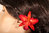 Cattleya Hairclip