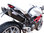 Zard Carbon Penta Slip-on 2-2, Racinganlage ohne Kat, Ducati Monster 696-796-1100 Bj. -2009