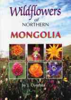 Oyumaa, Caddick, Rector : Wildflowers of Northern Mongolia :