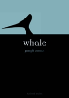 Roman : Whale :