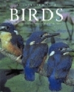 Forshaw : Encyclopedia of Birds :