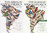 Ridgely, Tudor: The Birds of South America, Set Volume I + II Passerines