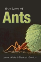 Keller, Gordon : The Lives of Ants :