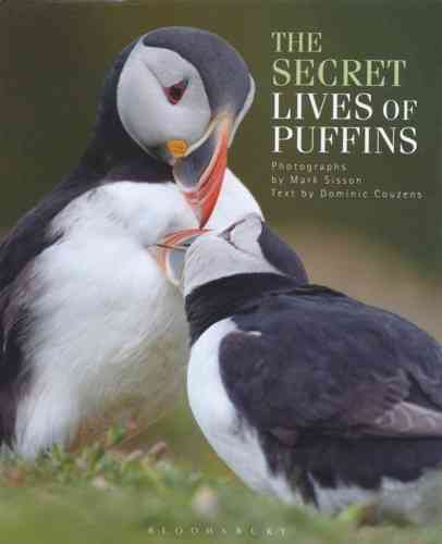 Sisson (Fotos), Couzens (Text): The Secret Lives of Puffins