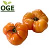 Tomaten Ananastomaten (500g)