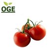 Tomaten, Cherrystrauchtomaten (500g)