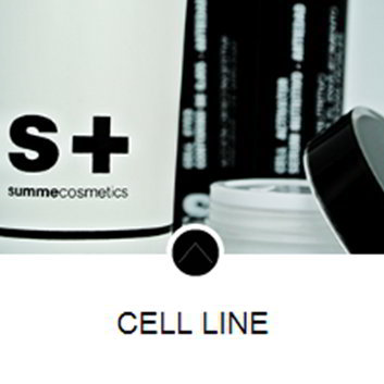 summe_cosmetics_cell_line