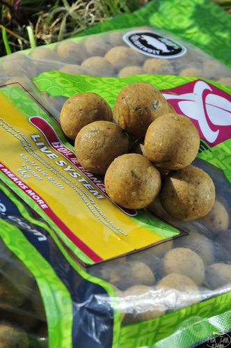 CCMORE BOILIES LIVE SYSTEM 15MM 1KG