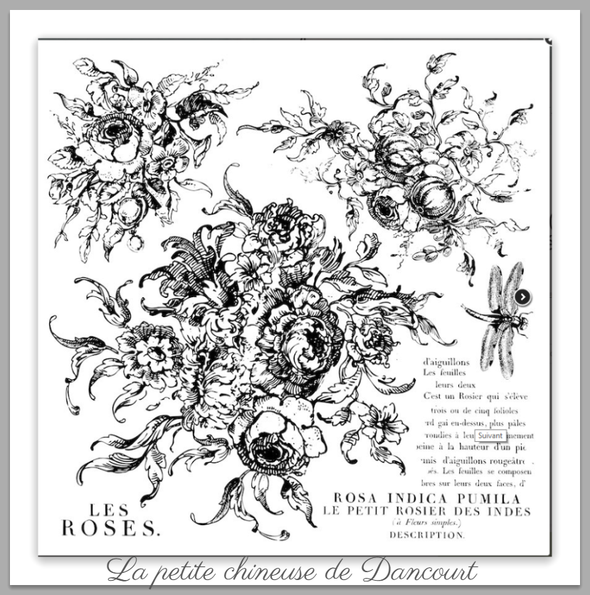 Tampon Iron Orchid Designs (IOD) Rose toile