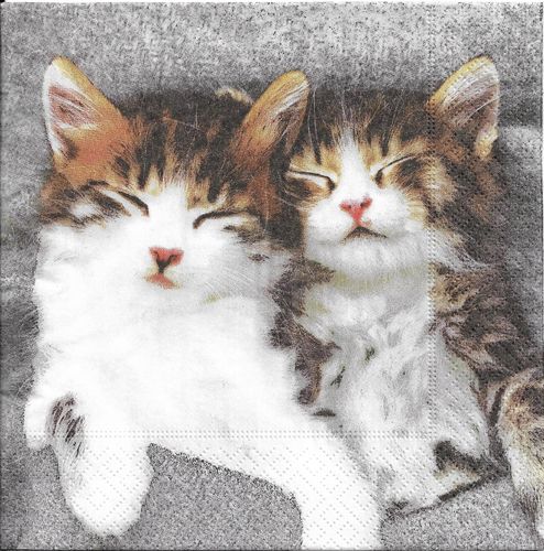 4 Paper Napkins Sleepy Kittens