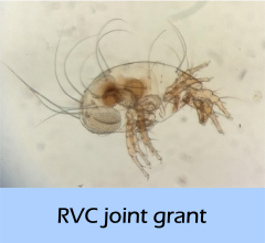RVC_joint_grant
