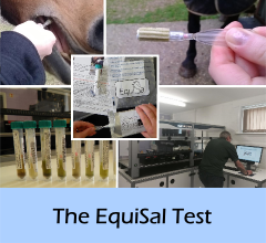 The_EquiSal_test_A
