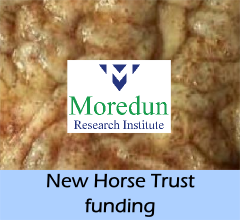 news-new_horse_trust_funding