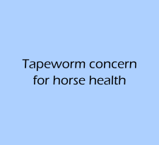 tapeworm_concern